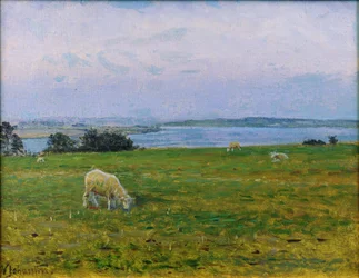 Moutons paissant, Osterby, Skagen